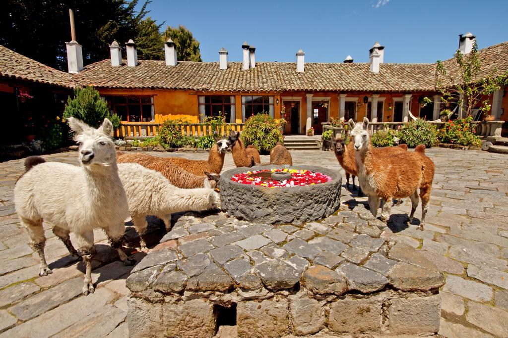 Hacienda San Agustin De Callo 3* Lasso